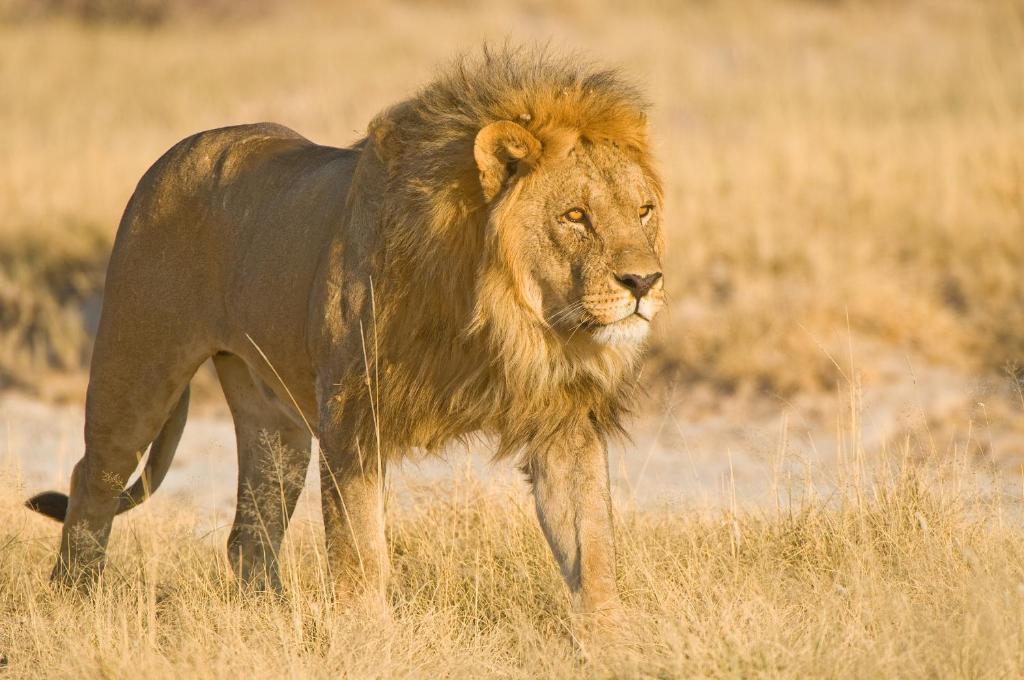 Etosha Village Окаукуехо Екстериор снимка